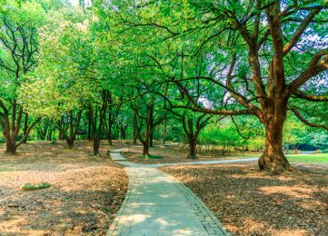 Lititz Springs Park Events Restrictions
